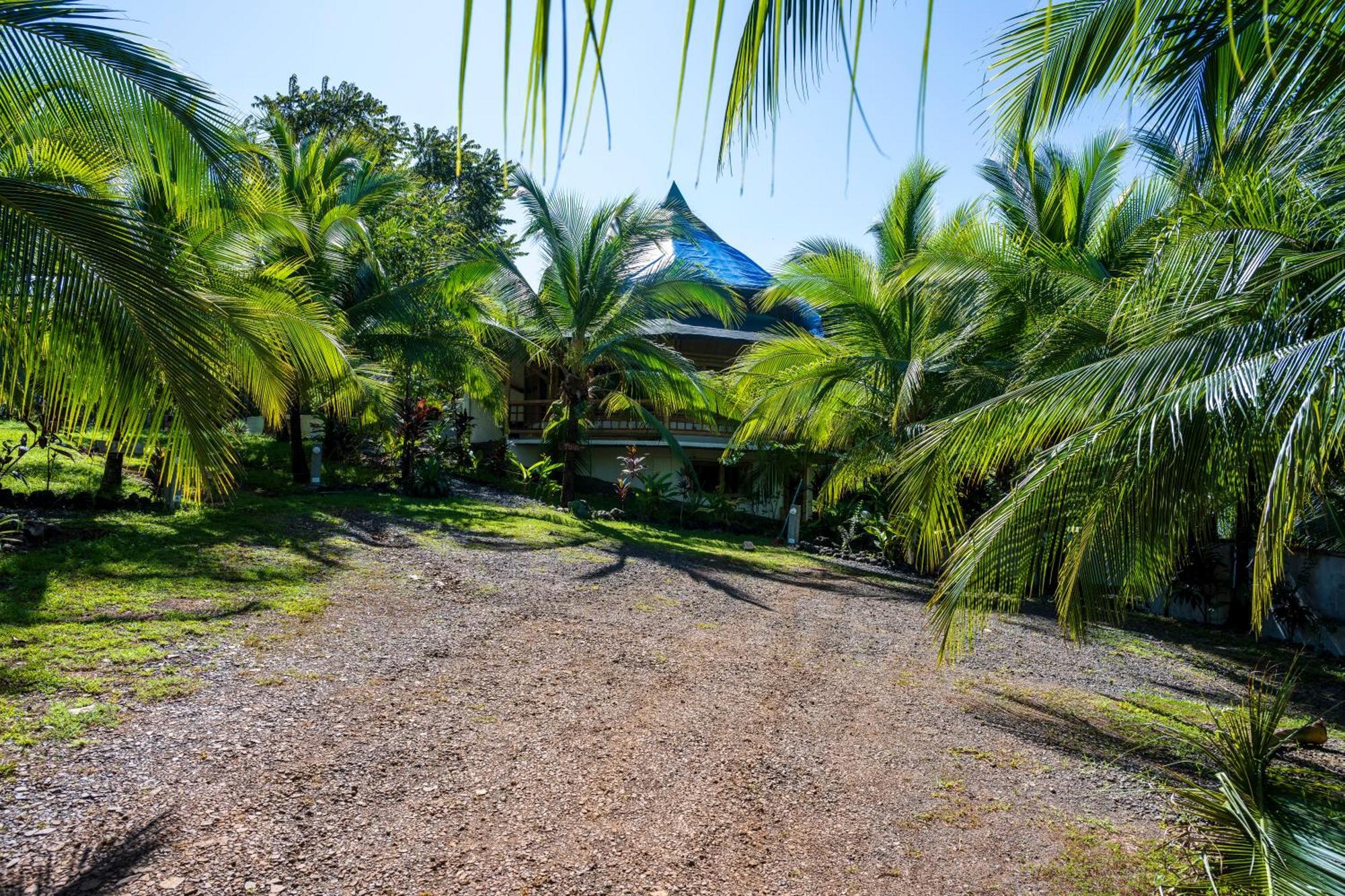 Eco-Lodge Deseo Bamboo Santa Catalina Bagian luar foto