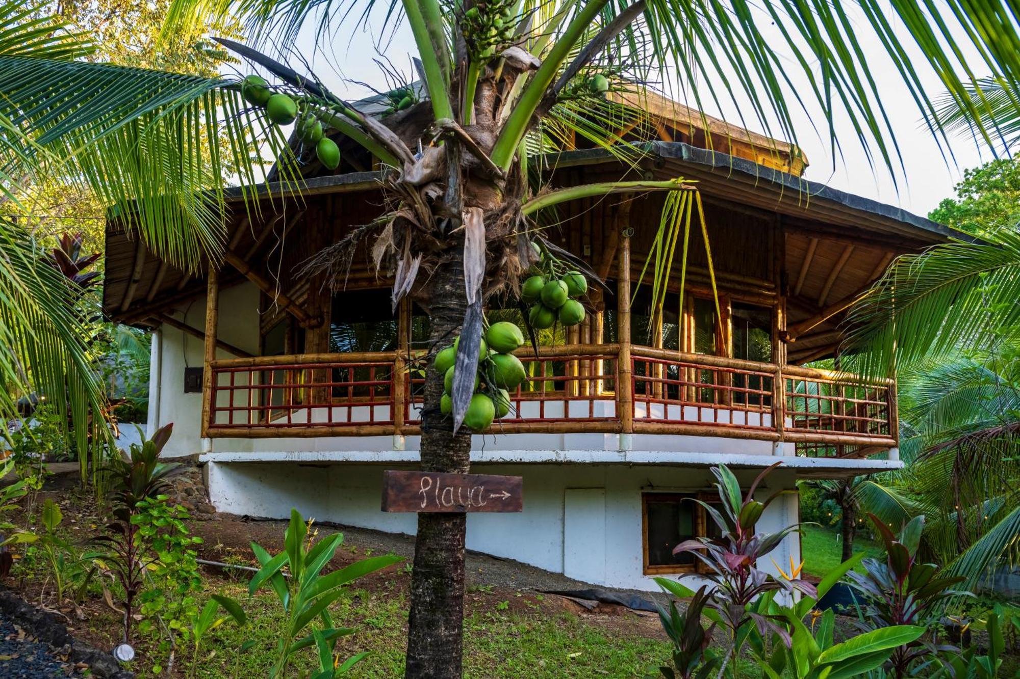 Eco-Lodge Deseo Bamboo Santa Catalina Bagian luar foto