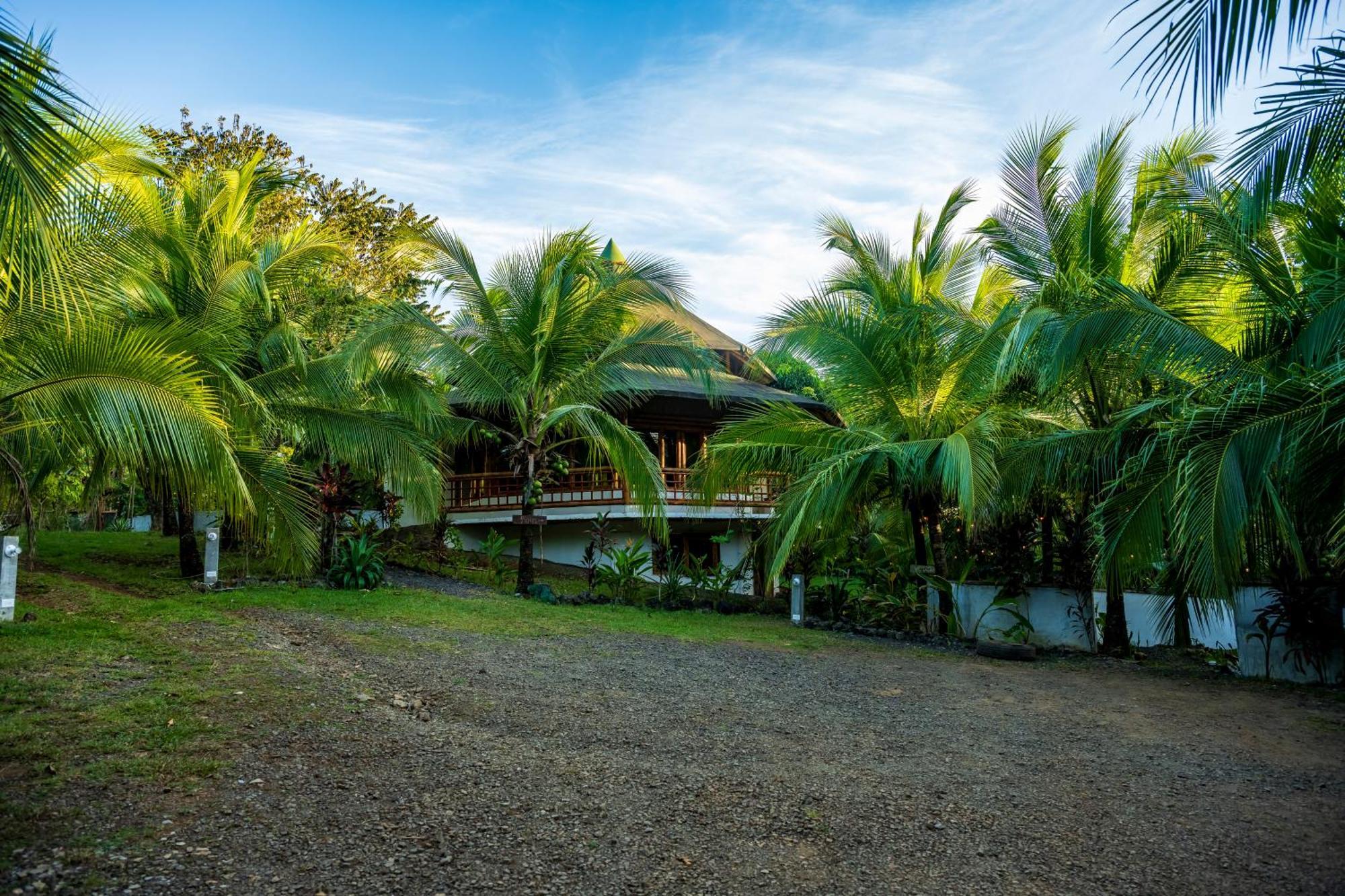 Eco-Lodge Deseo Bamboo Santa Catalina Bagian luar foto