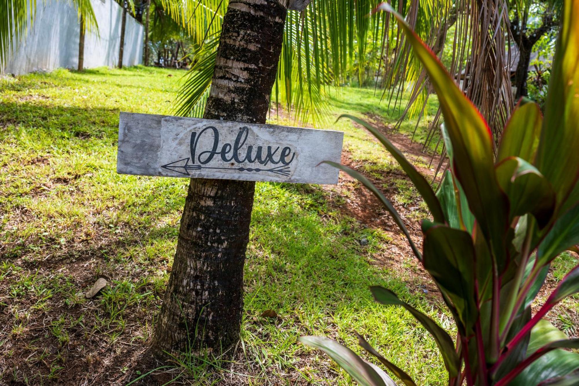 Eco-Lodge Deseo Bamboo Santa Catalina Bagian luar foto