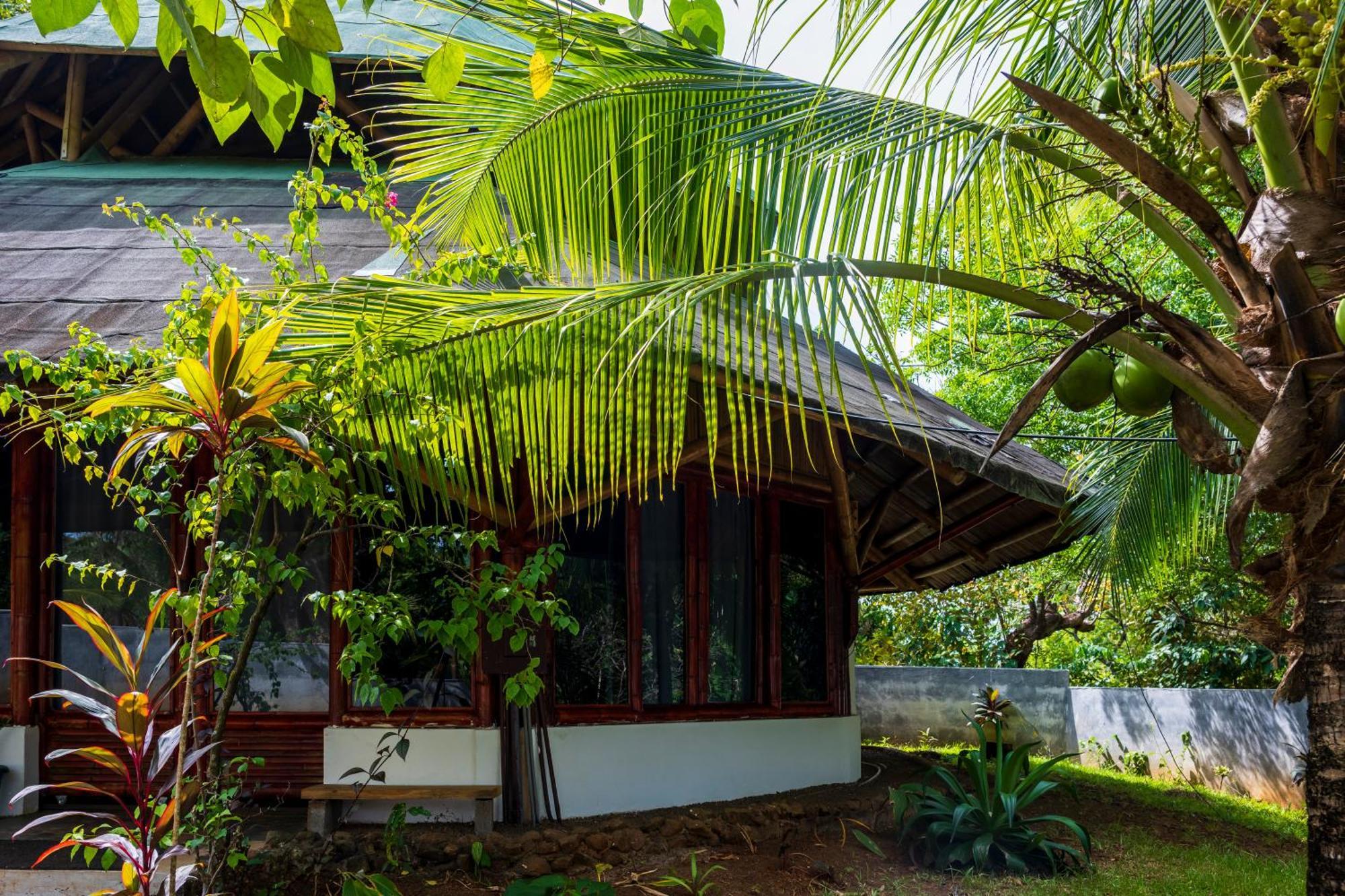 Eco-Lodge Deseo Bamboo Santa Catalina Bagian luar foto