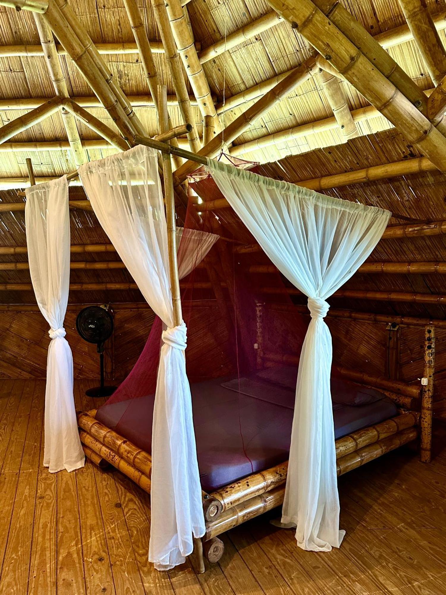 Eco-Lodge Deseo Bamboo Santa Catalina Bagian luar foto