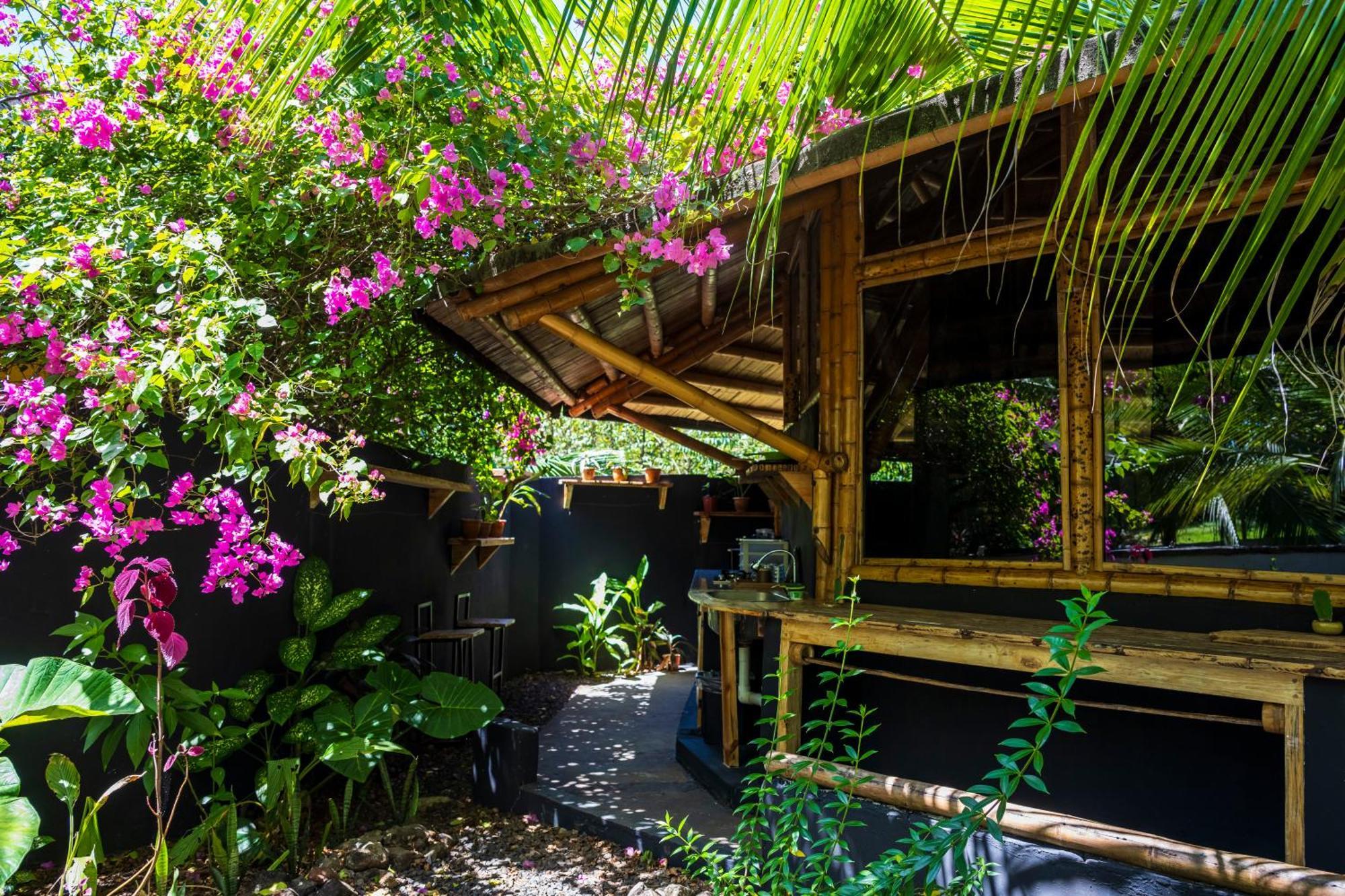 Eco-Lodge Deseo Bamboo Santa Catalina Bagian luar foto